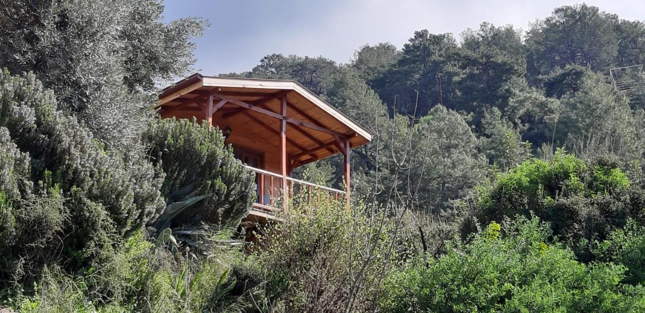 Casa Roja Apartman Cedit Kültér fotó