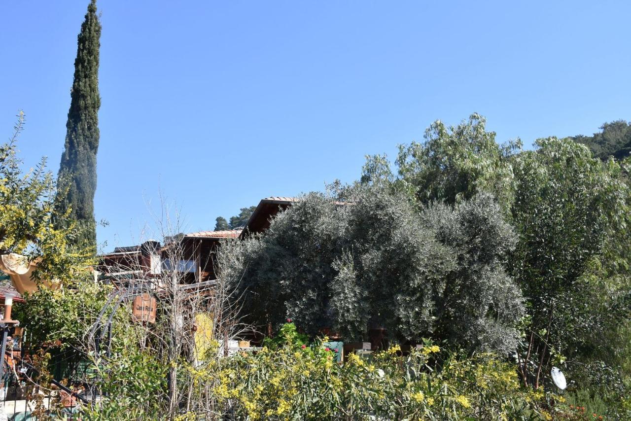 Casa Roja Apartman Cedit Kültér fotó