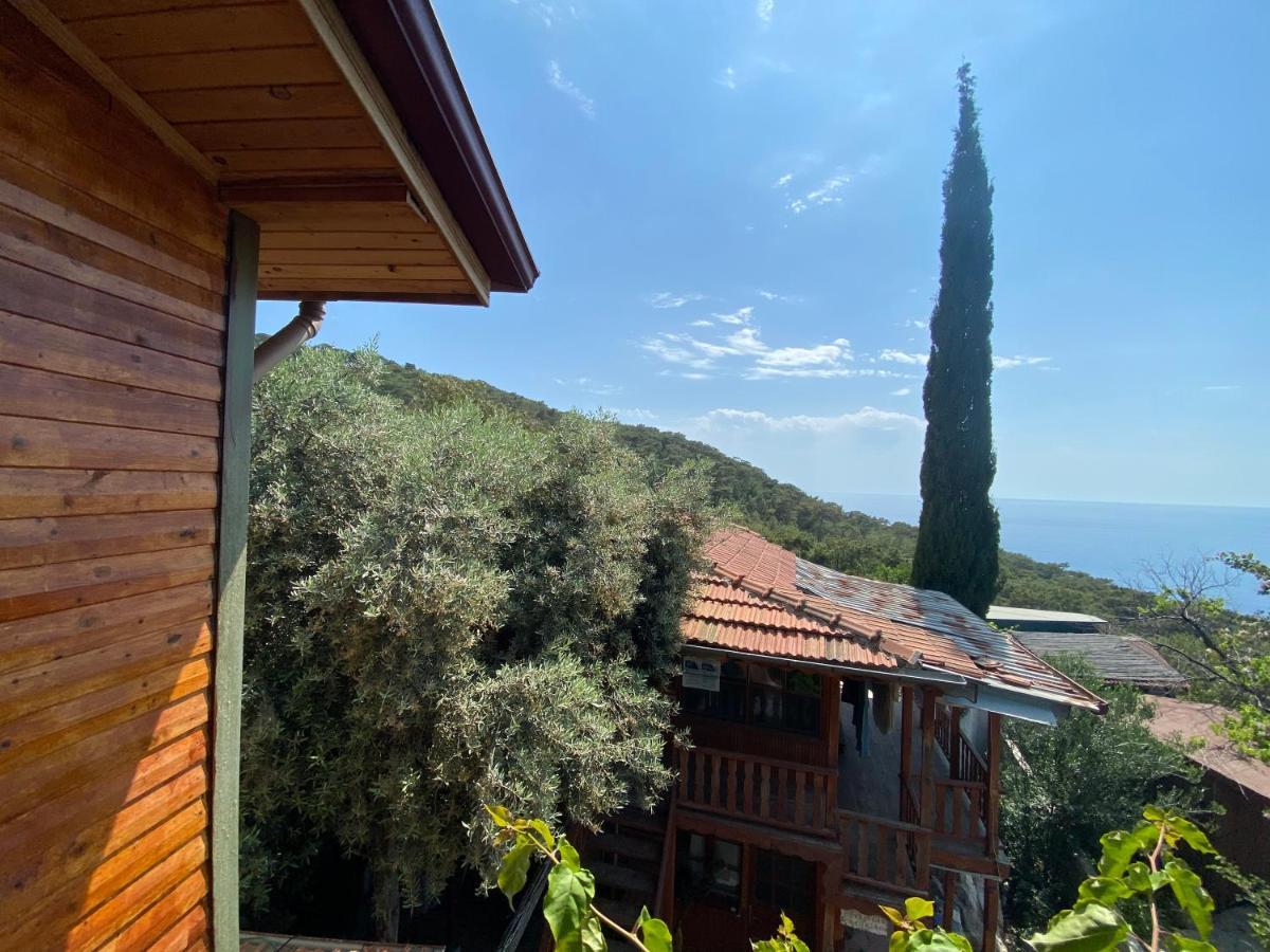 Casa Roja Apartman Cedit Kültér fotó