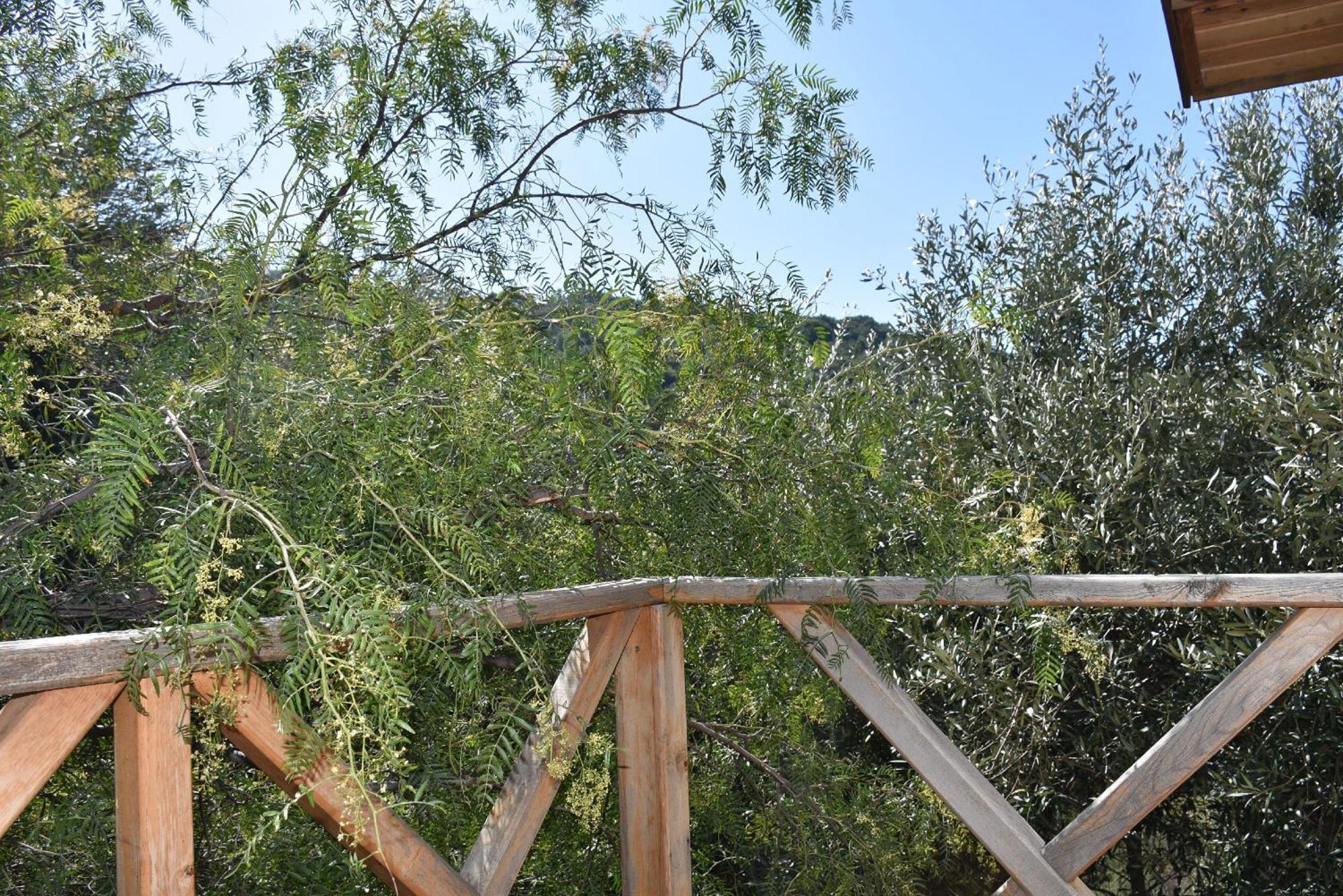 Casa Roja Apartman Cedit Szoba fotó