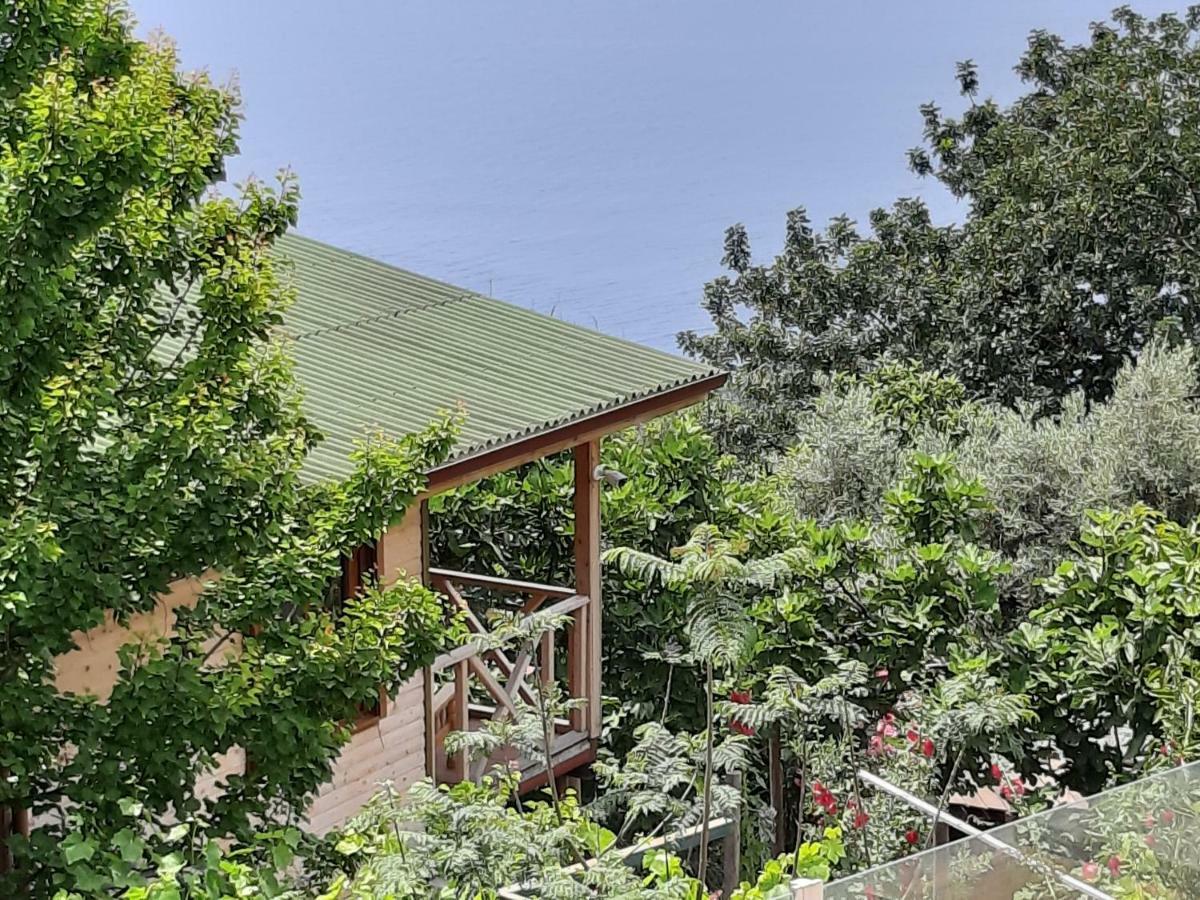 Casa Roja Apartman Cedit Kültér fotó